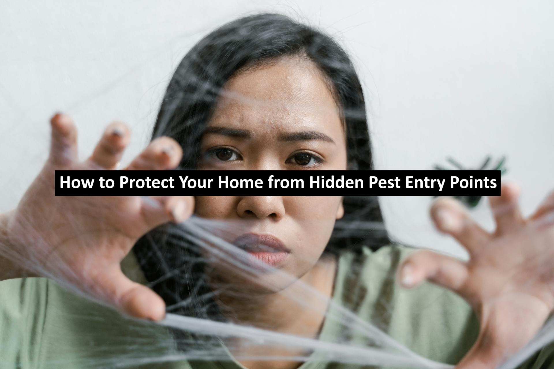 Hidden Pest Entry Points