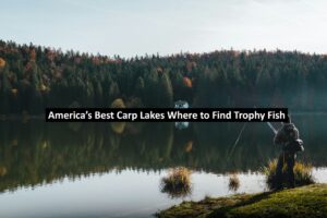 America’s Best Carp Lakes Where to Find Trophy Fish