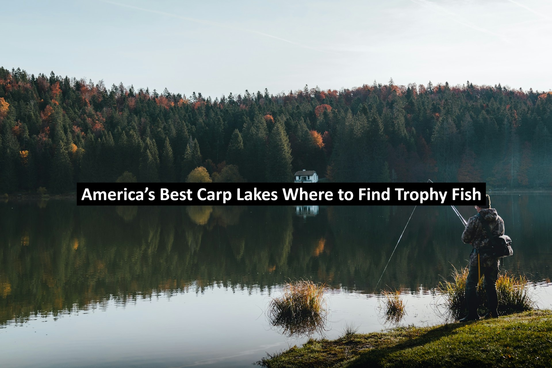America’s Best Carp Lakes Where to Find Trophy Fish
