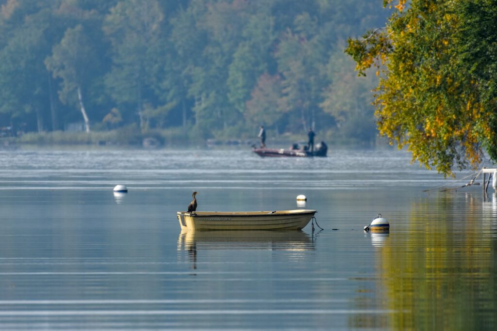 What Counts as a “Trophy” Carp & Why It Depends